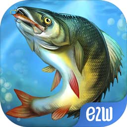 ng南宫体育app